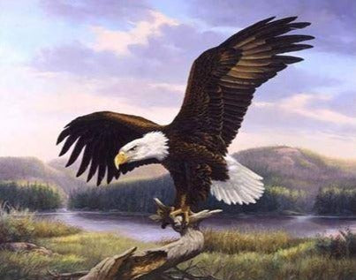 Fierce and Staunch Bird - Paint by Numbers
