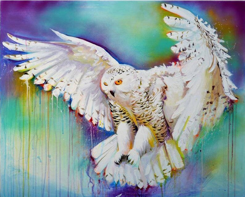 Flying Owl