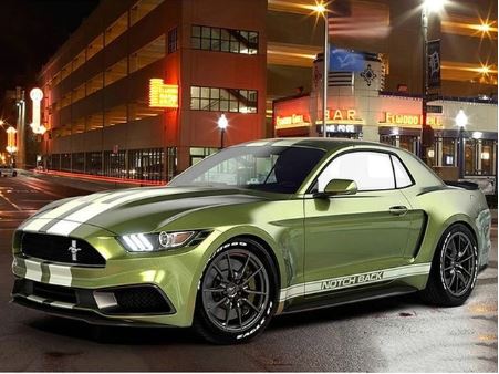 Mustang Painting Kit