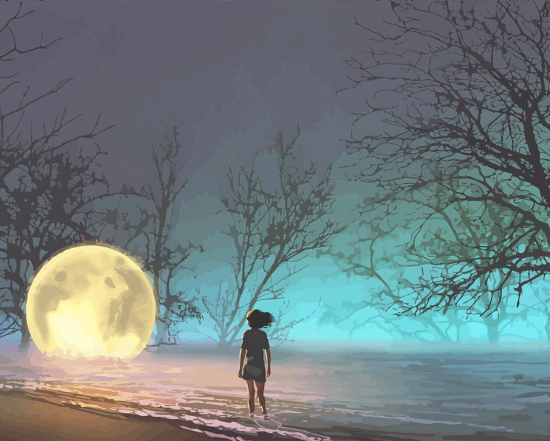 Girl With Moon At Sea Paint By Number Kit