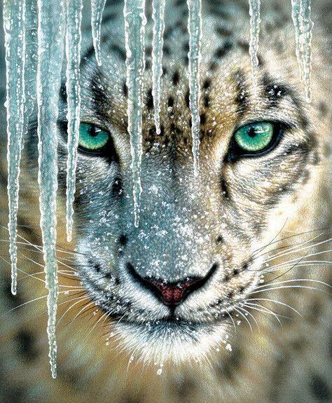 Green Eyed Puma Tiger painting kit