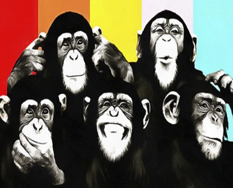 Black Monkeys