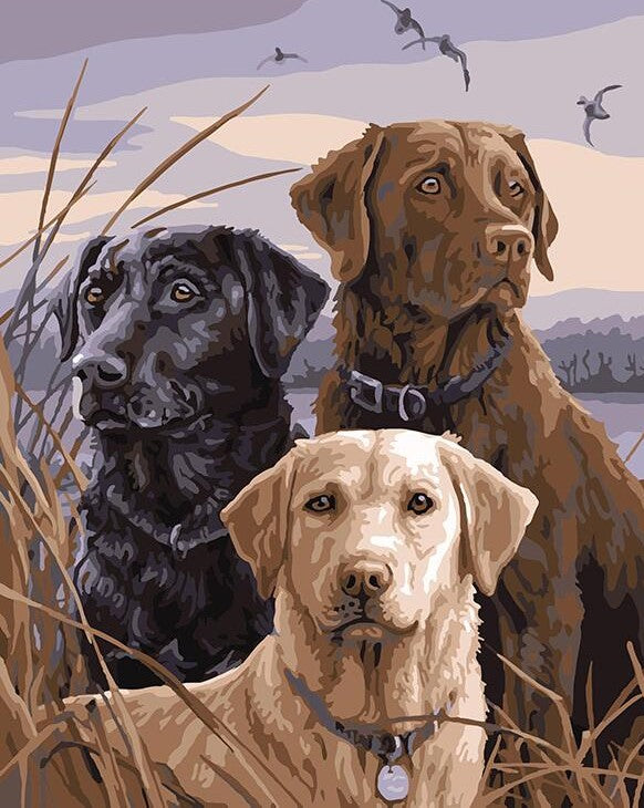 Group Of Dogs 