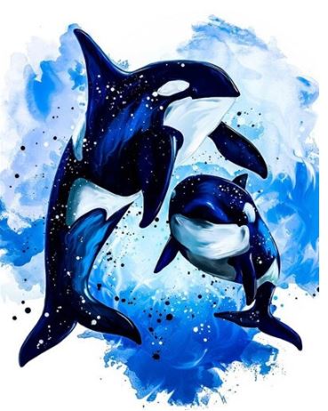 Happy Fins Dolphins  - Paint by Numbers