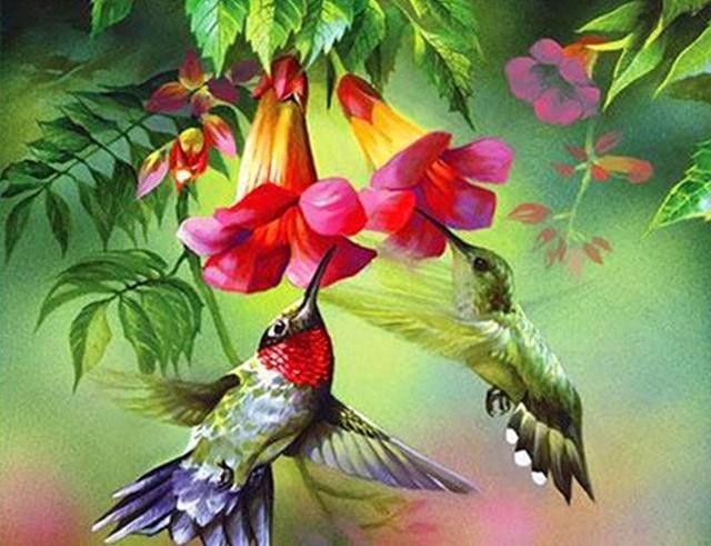Hamming Birds Painting By Number kit