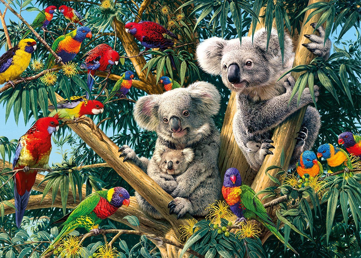 Koala Bears And Parrots Painting by Number