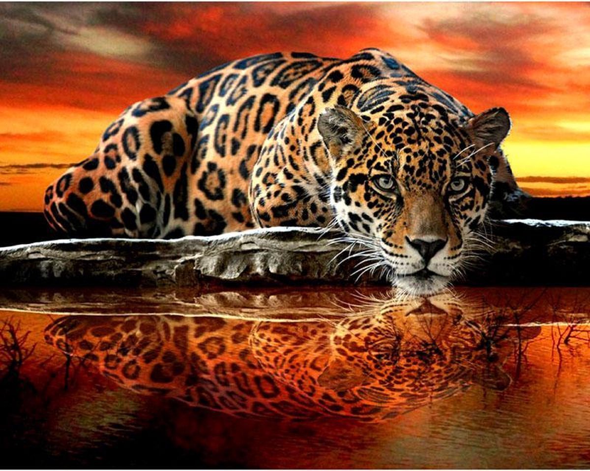 leopard painting