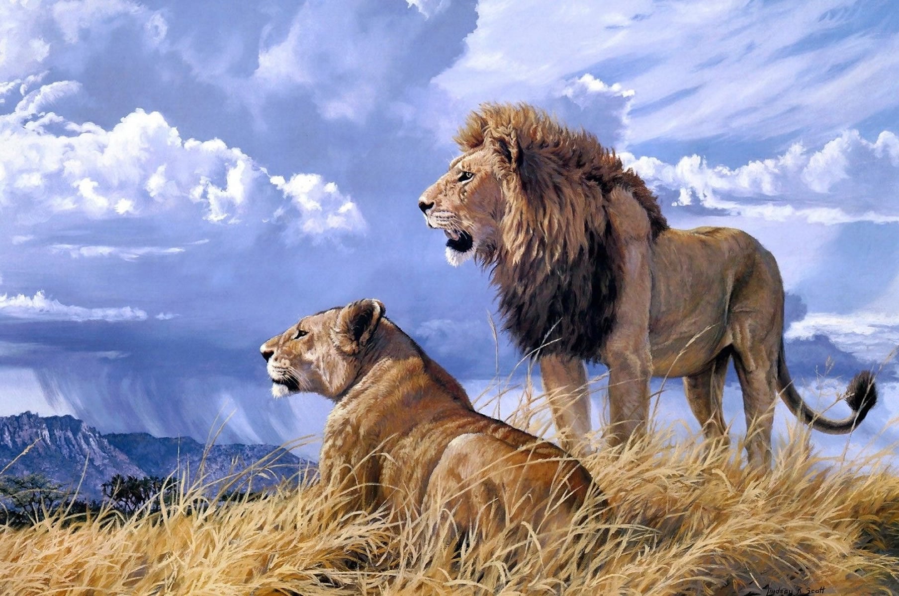 Lion couple painting by number