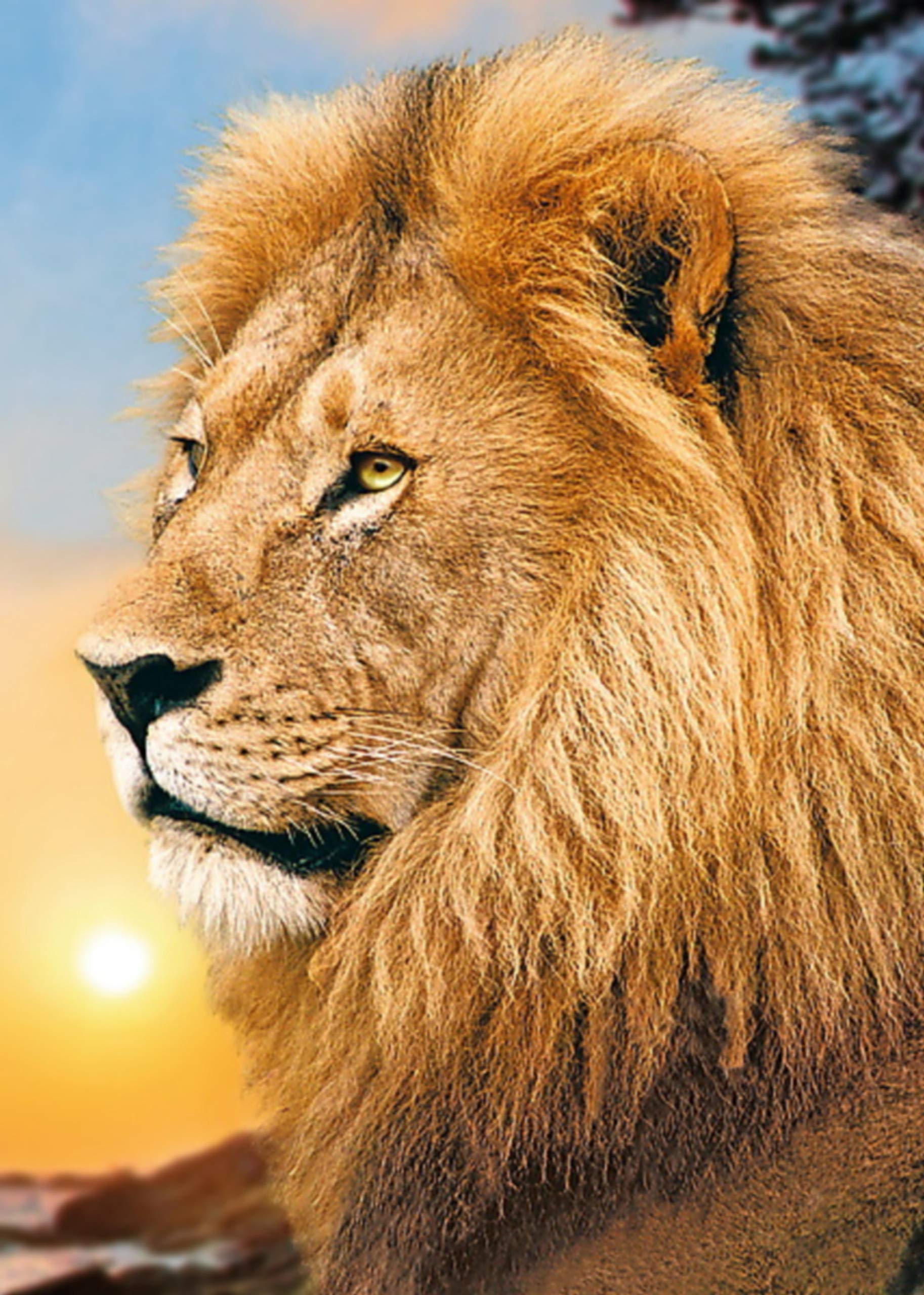 lion painting kit