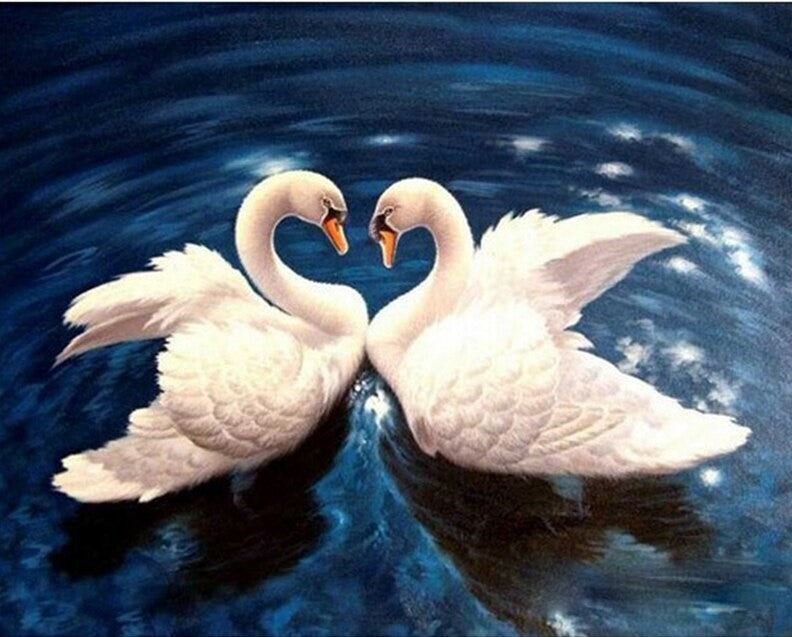 Loving Swans DIY painting kit