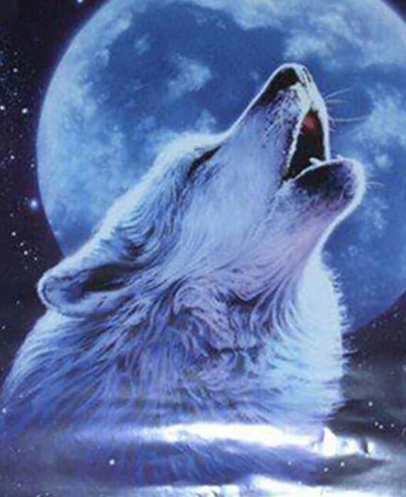 Moon And Howling Wolf Kit
