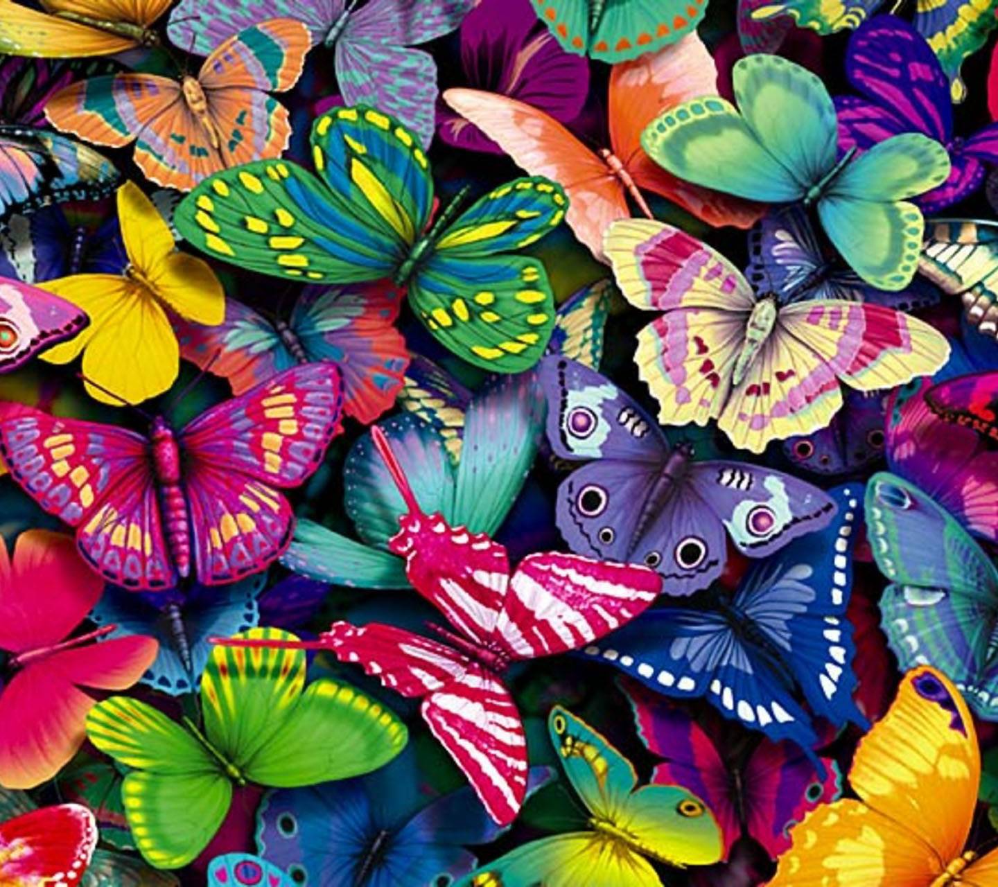 Multi colour butterflies paint by number
