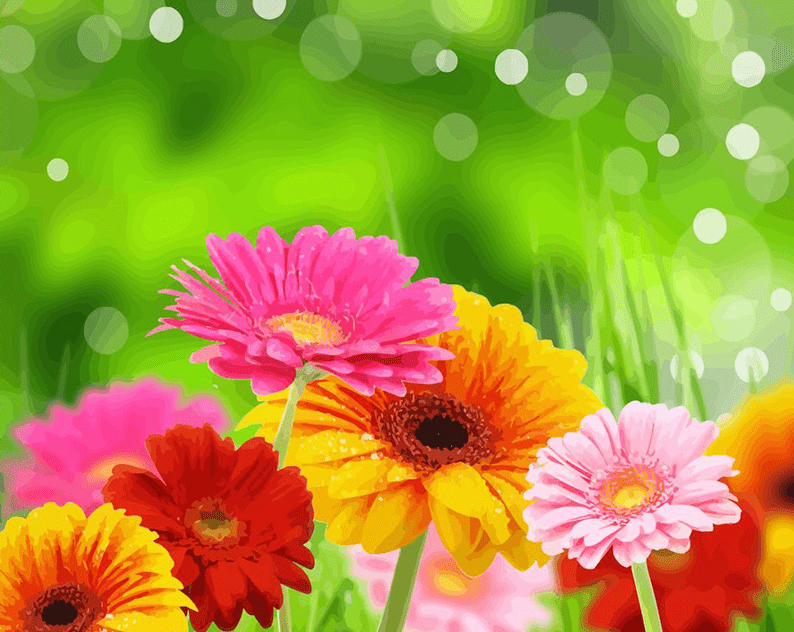 Colorful flowers paint by numbers kit