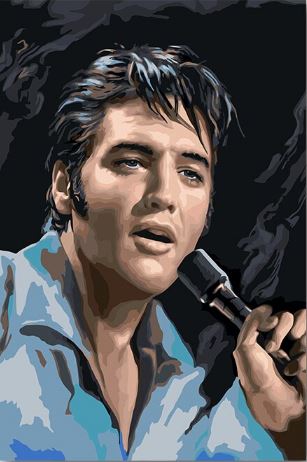 Elvis Presley - Paint by Numbers Kit