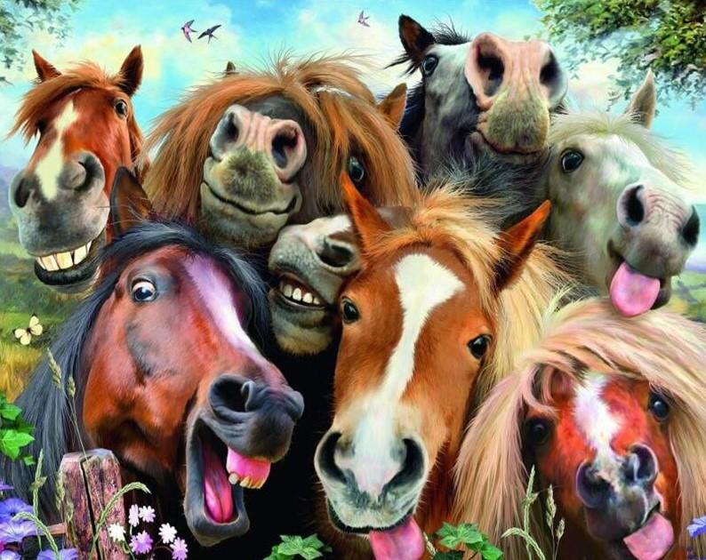 Funny Horses painting kit