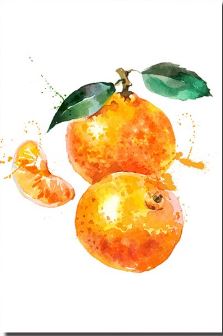 Beautiful Oranges - Paint by Numbers