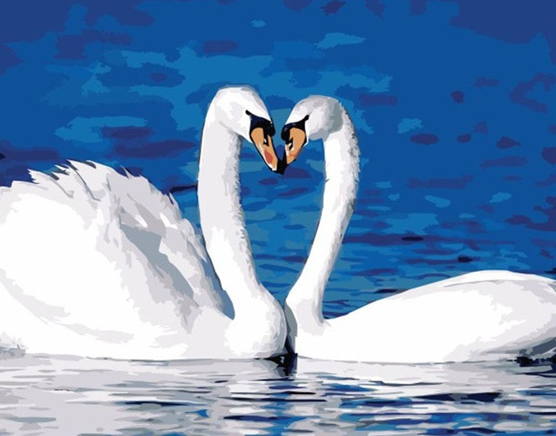Two Swans paint by numbers