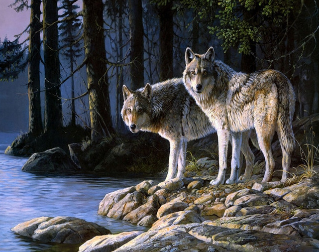 Wolves At River painting kit