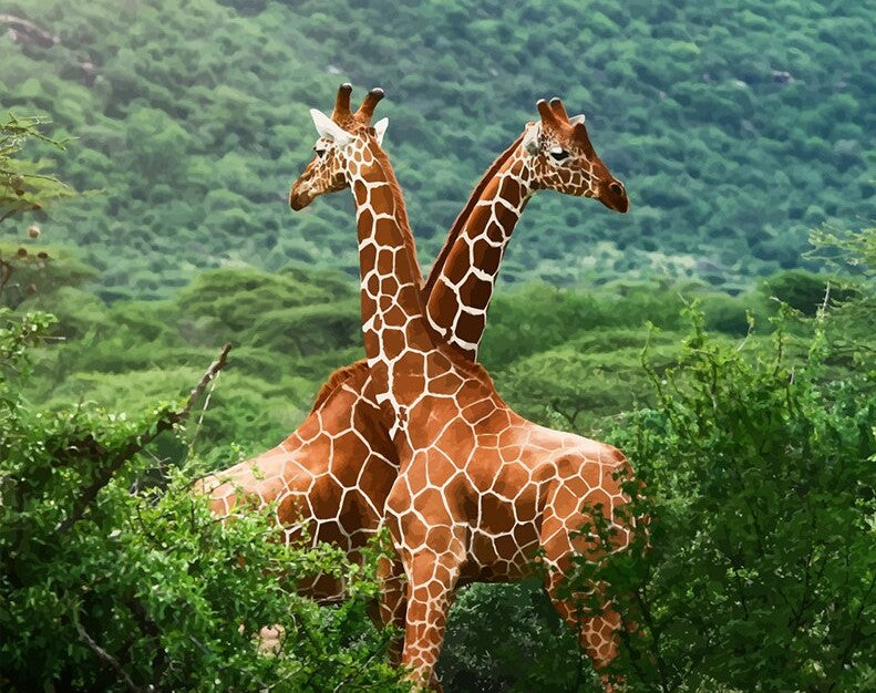 Giraffes in forest painting