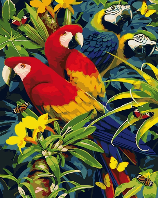 Parrots Paint by numbers