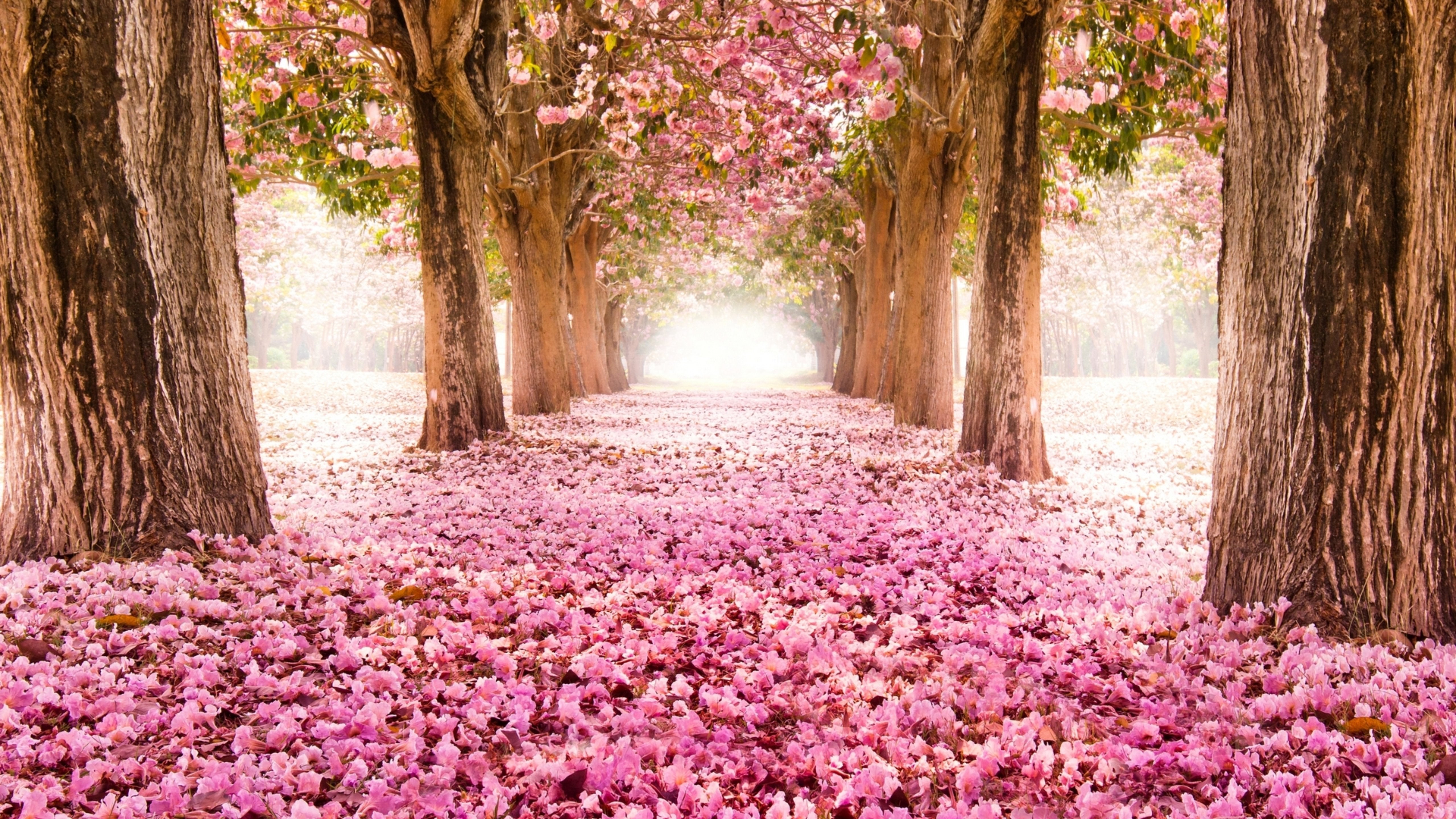 PinkFlowers painting