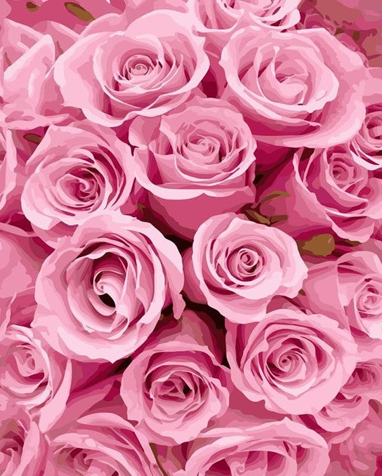 Pink Roses