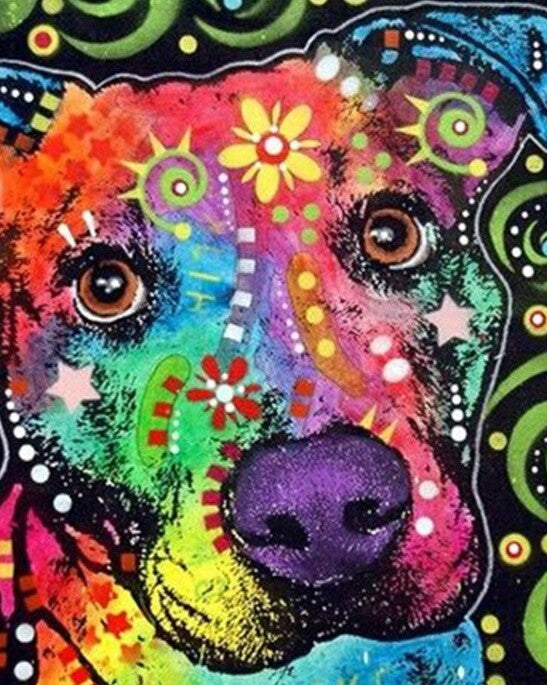 Colorful Dog 