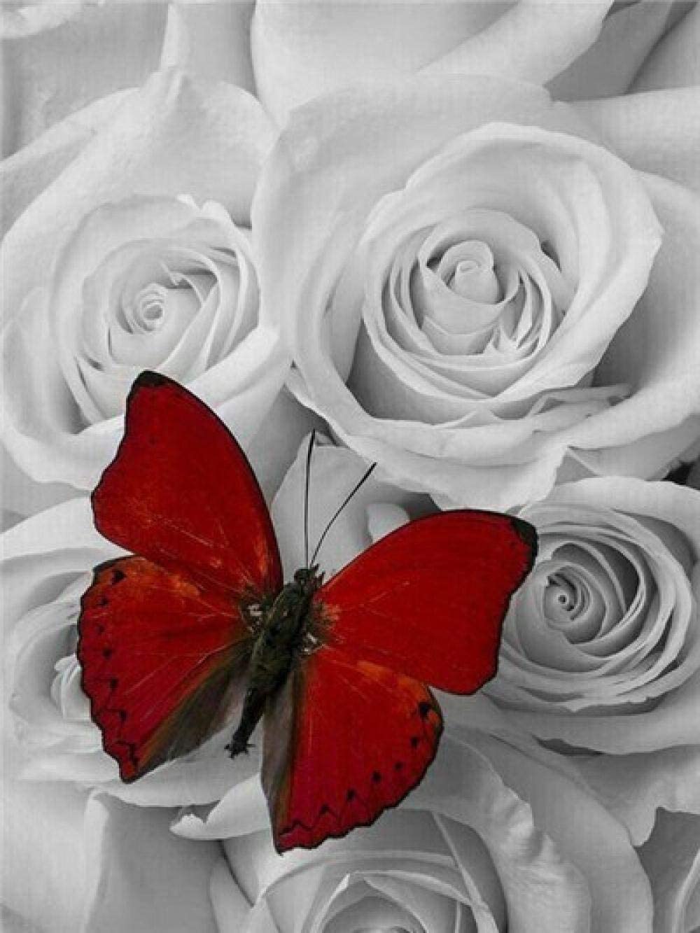 Redbutterfly painting