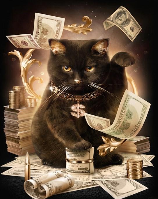 Rich Cat paint by numbers