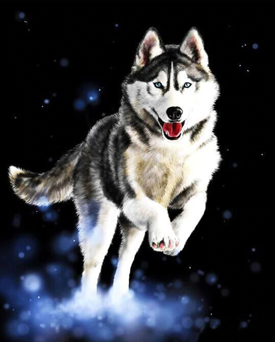 Running Wolf In Snow Kit