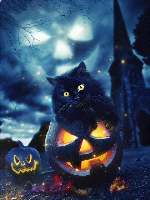 Scary Cat Halloween DIY Paint by numbers kit