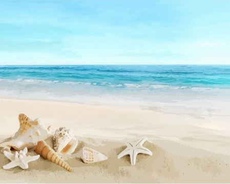 Sea Shells - Paint by Numbers Kit