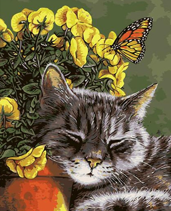 Cat And Butterfly kit