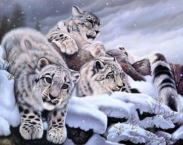 Snow Leopards Painting By numbers