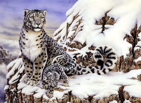 Snow Leopard with Cub painting