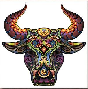 Spanish Bull - Painting Art Kit