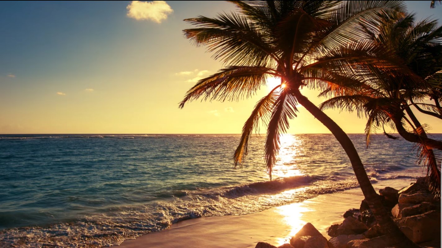 Sunset Seashore Painting kit