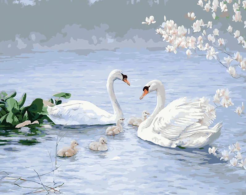 Swans In Water Paint By Numbers Kit
