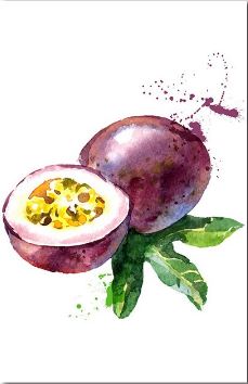 The Passion Fruits - Paint by Numbers 