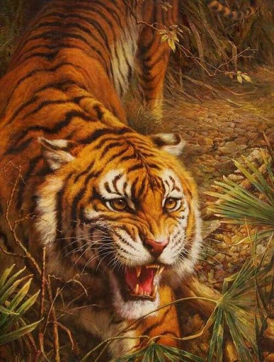 Tiger hunting Paint By Number