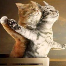 Titanic Pose by Cats - Paint by Numbers