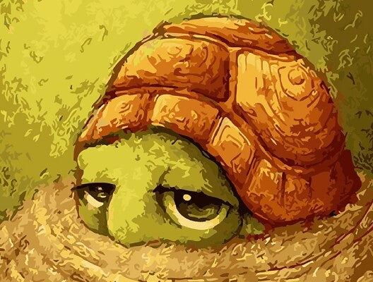 Turtle In shell