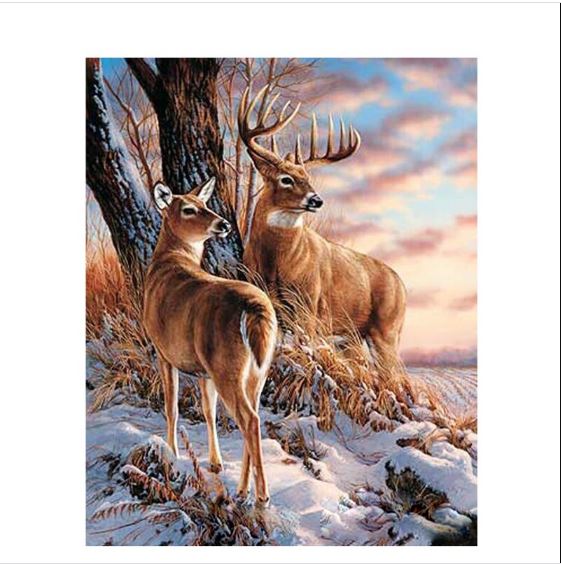 Two Reindeer - Paint by Numbers Kit