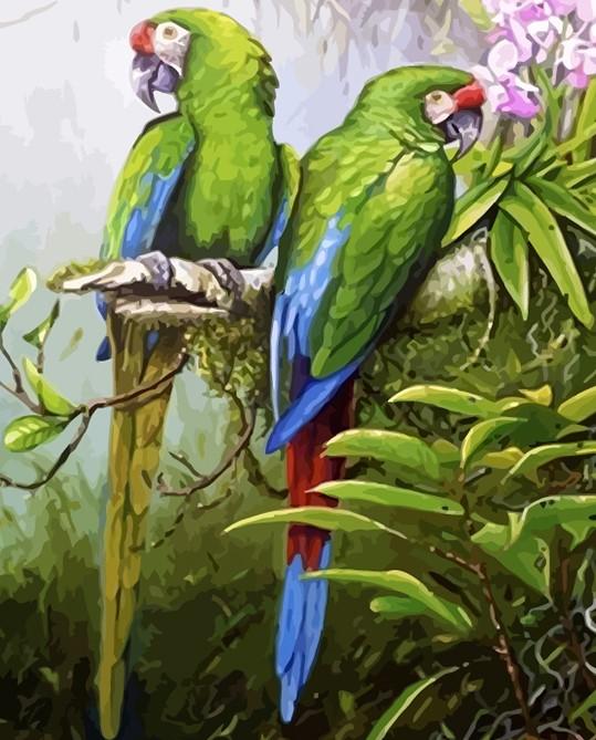 Parrots On Branch