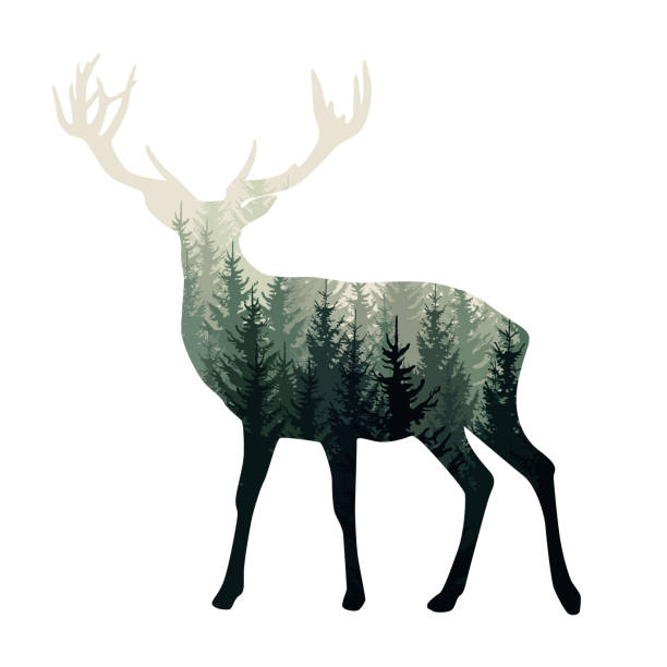 Vector Deer DIY Painting Kit