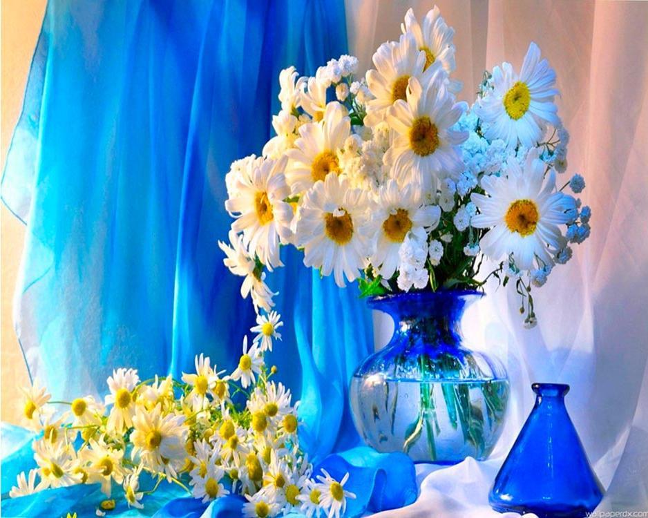 WhiteFlowersinFlowerPot kit