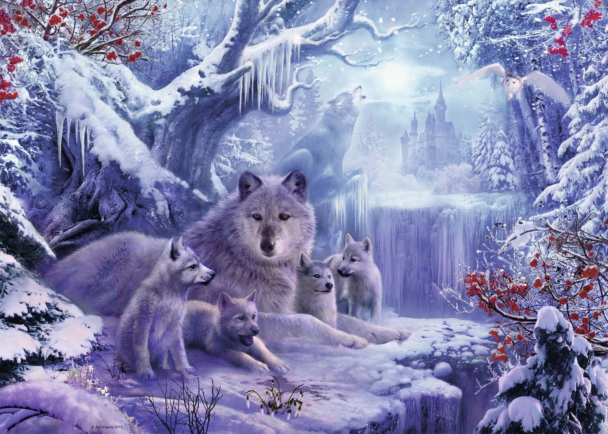 Winter Wolves Painting By Number