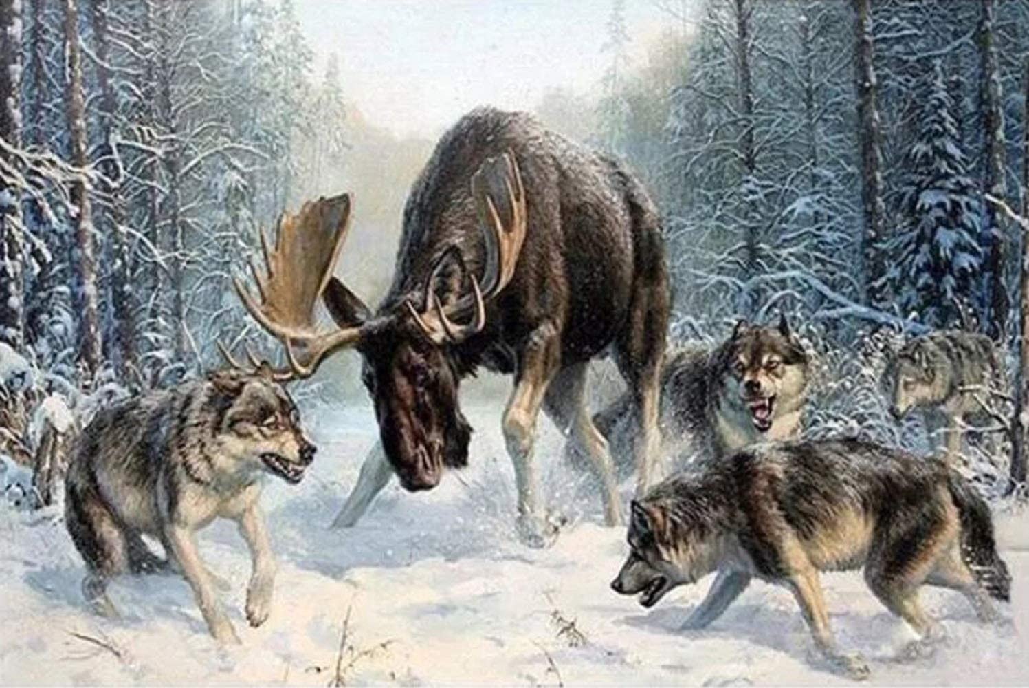 Wolf Pack Hunting paint By Number