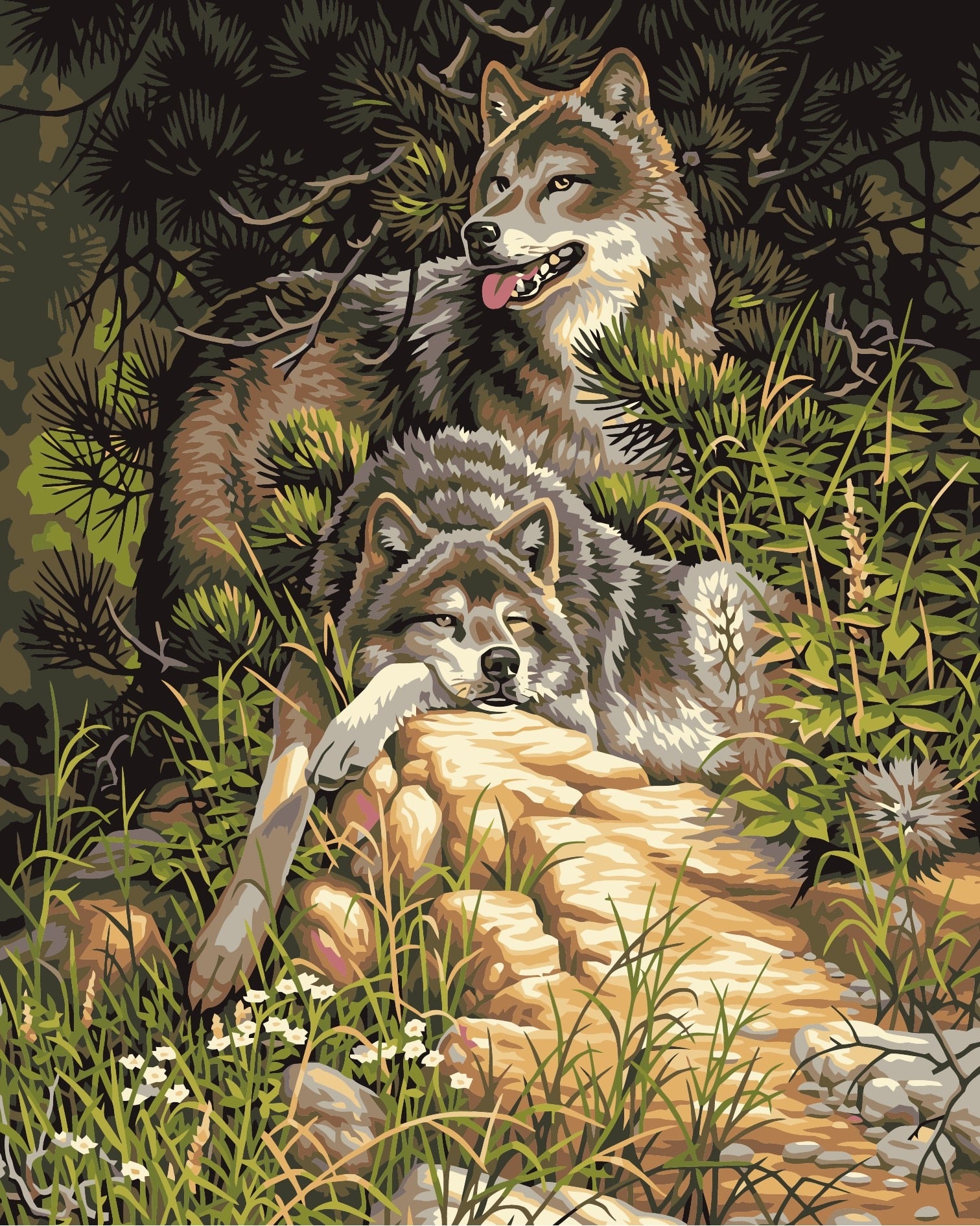 Wolves In Jungle Painting By Numbers Kit