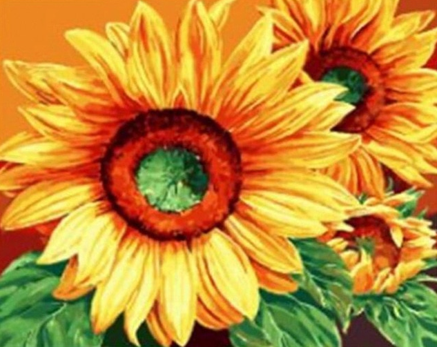 Yellow Flowers